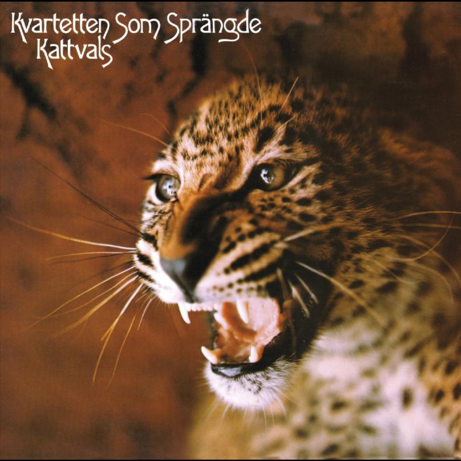 Kvartetten Som Sprängde - Kattvals (Splatter Vinyl) - LP
