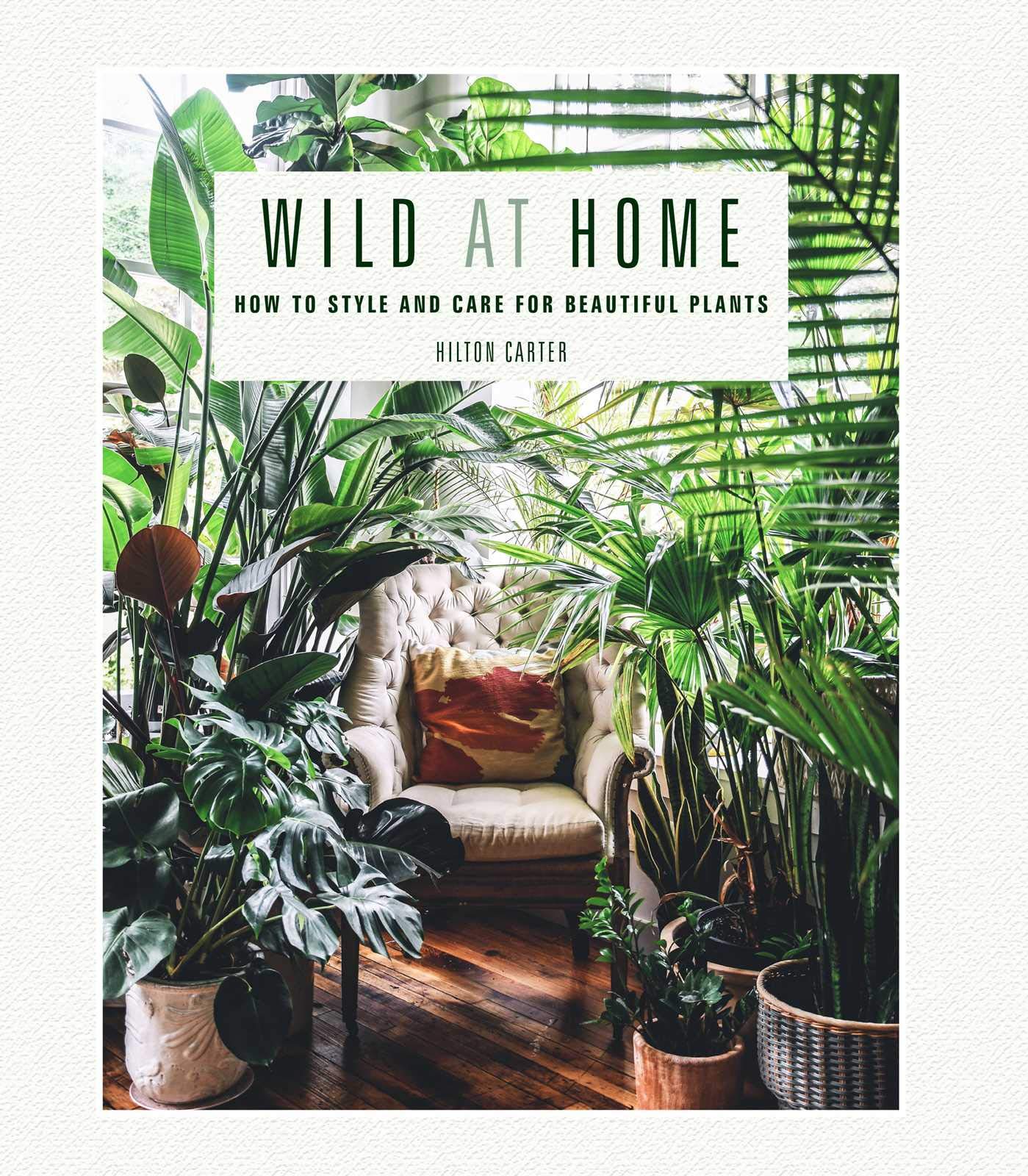 Wild-at-Home-How-To-Style-And-Care-For-Beautiful-Plants
