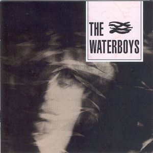 Waterboys, The - s/t - LP