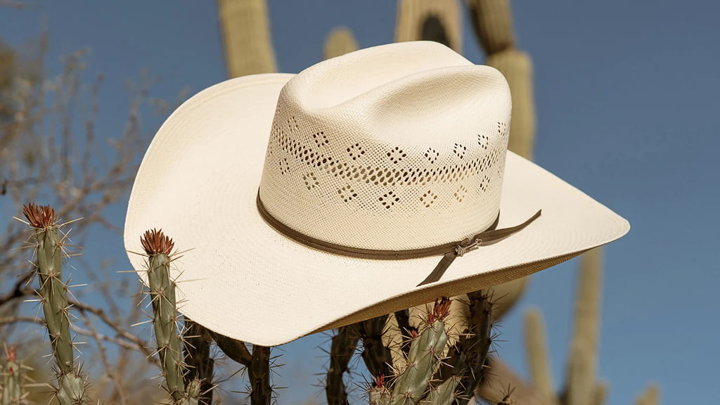 headwear, hats, caps, beanies, truckers, western hats, fedoras, and more!