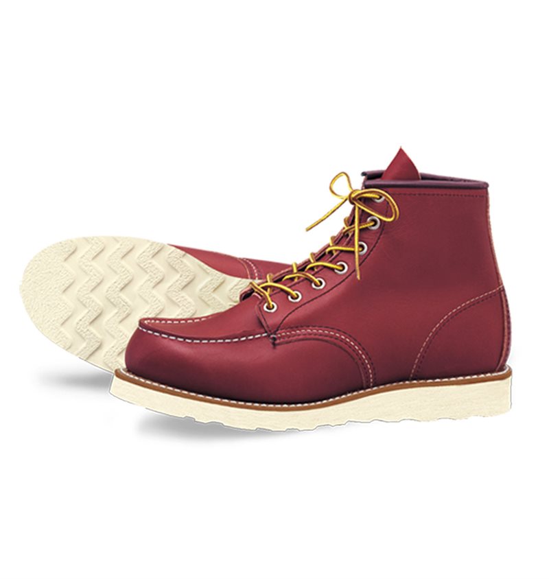Irish on sale setter store
