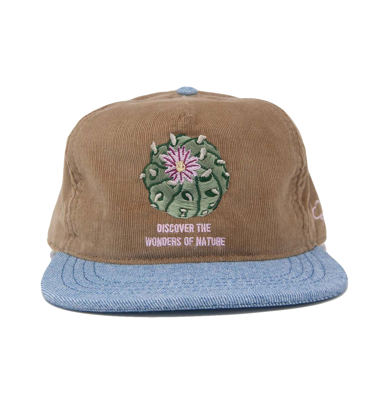 The Ampal Creative - Discover Wonders Strapback Cap - Tan