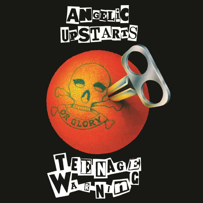 Angelic Upstarts - Teenage Warning - LP