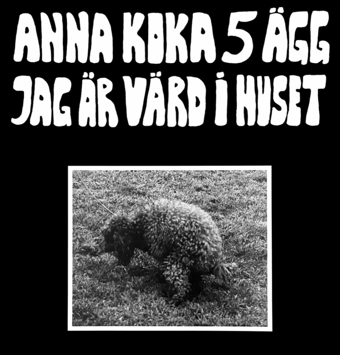 Anna Koka 5 Ägg Jag Är Värd I Huset - Anna Koka 5 Ägg Jag Är Värd I Huset (Incl