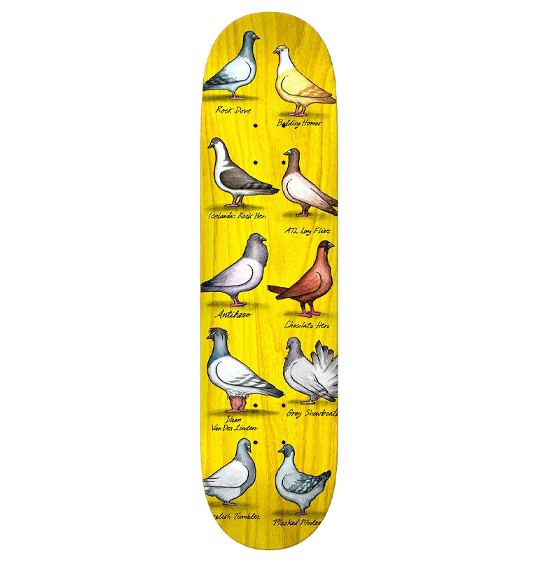Antihero - Daan Show Pigeons Skateboard Deck - 8.38´´