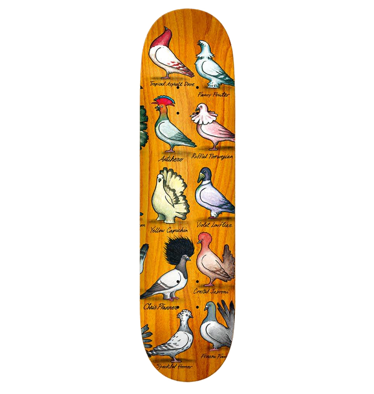 Antihero - Pfanner Show Pigeons Skateboard Deck - 8.06´´