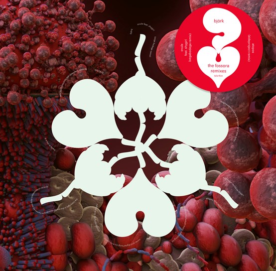 Björk - Ovule (Sega Bodega Remix) / Atopos (Sideproject Remix)(RSD2023) - 12´´ V