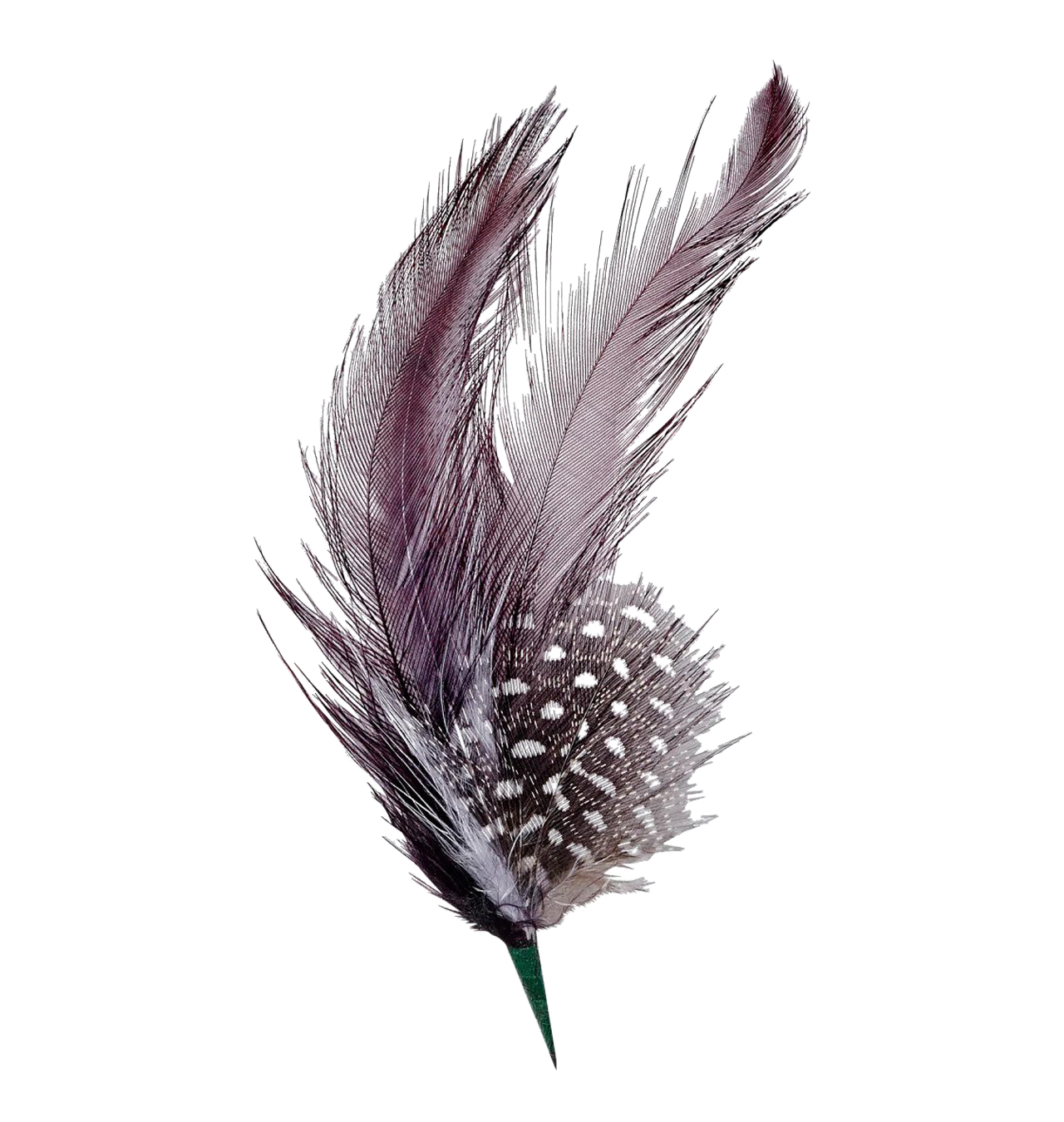 Brixton---Hat-Feather---Burnt-Henna-Black-1