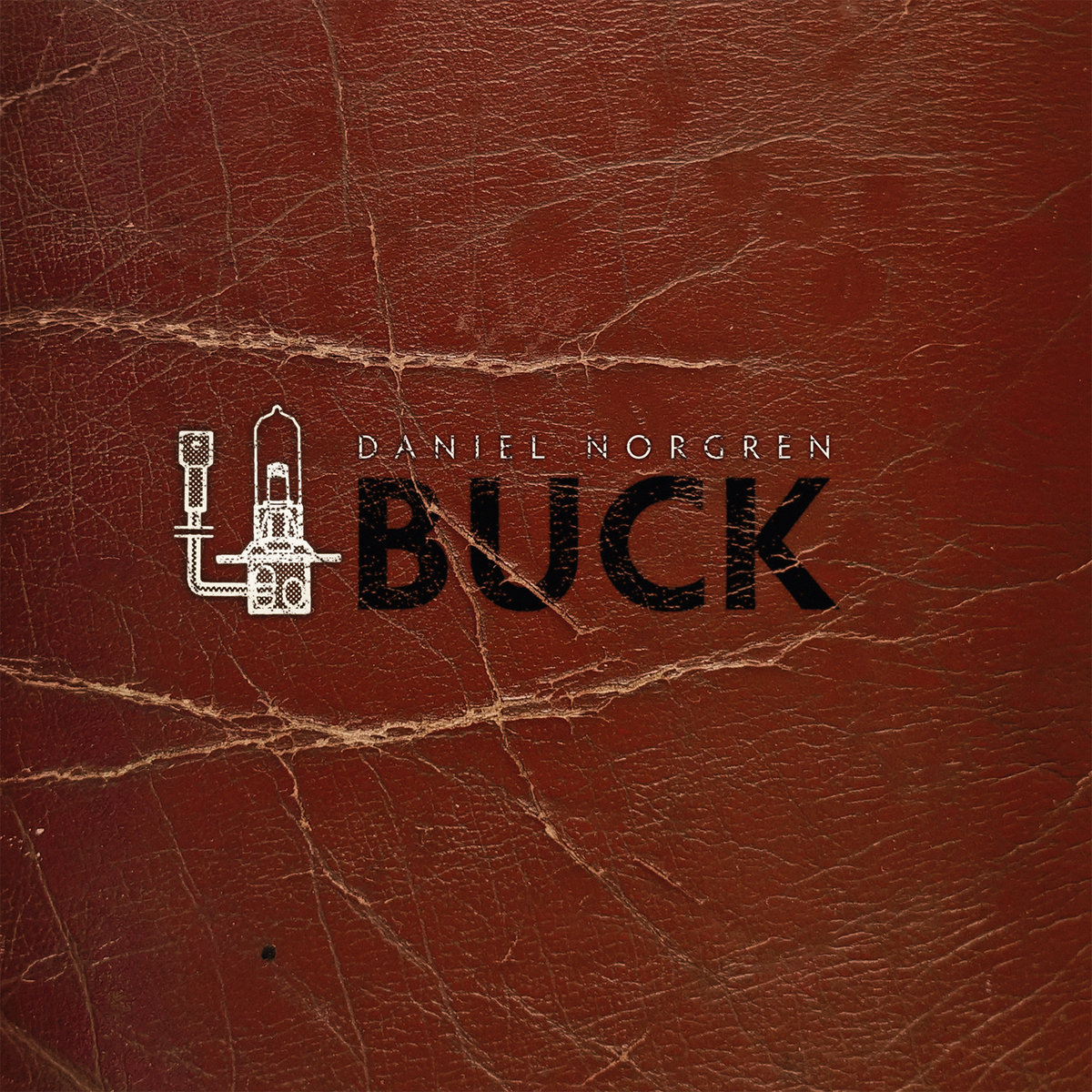 Daniel-Norgren---Buck