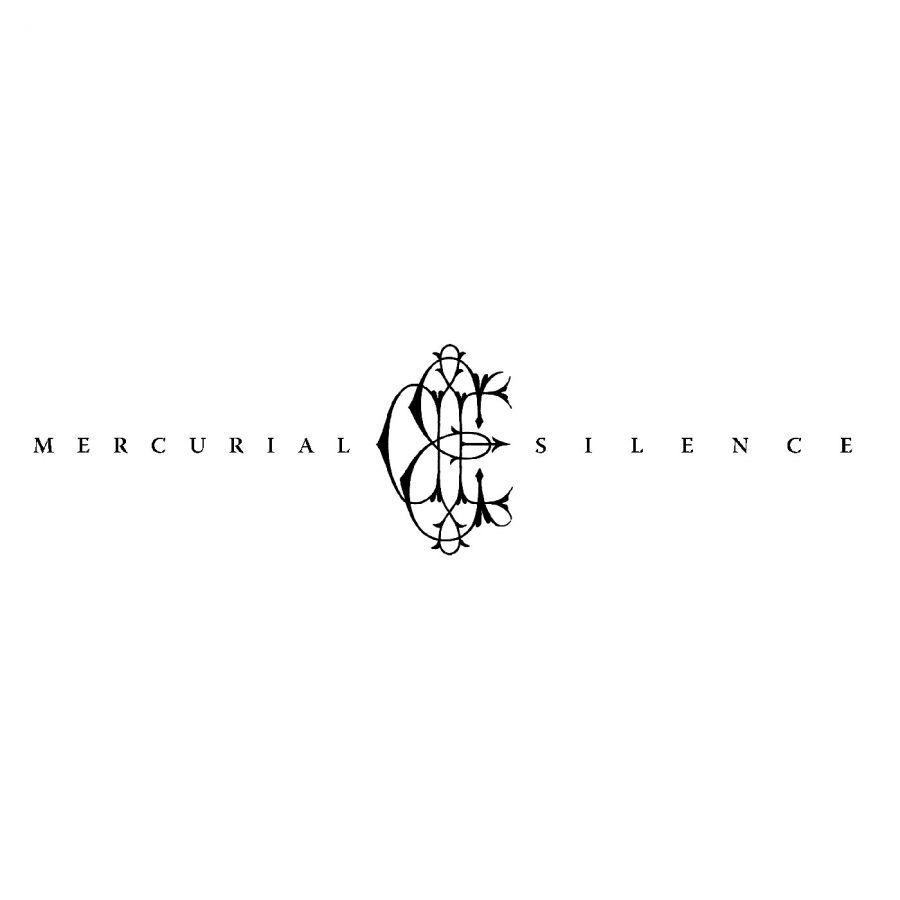 David-Eugene-Edwards---Mercurial-Silence-Indie-Exclusive-Transparent-Vinyl---LP