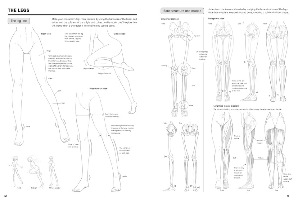 Drawing the Female Figure