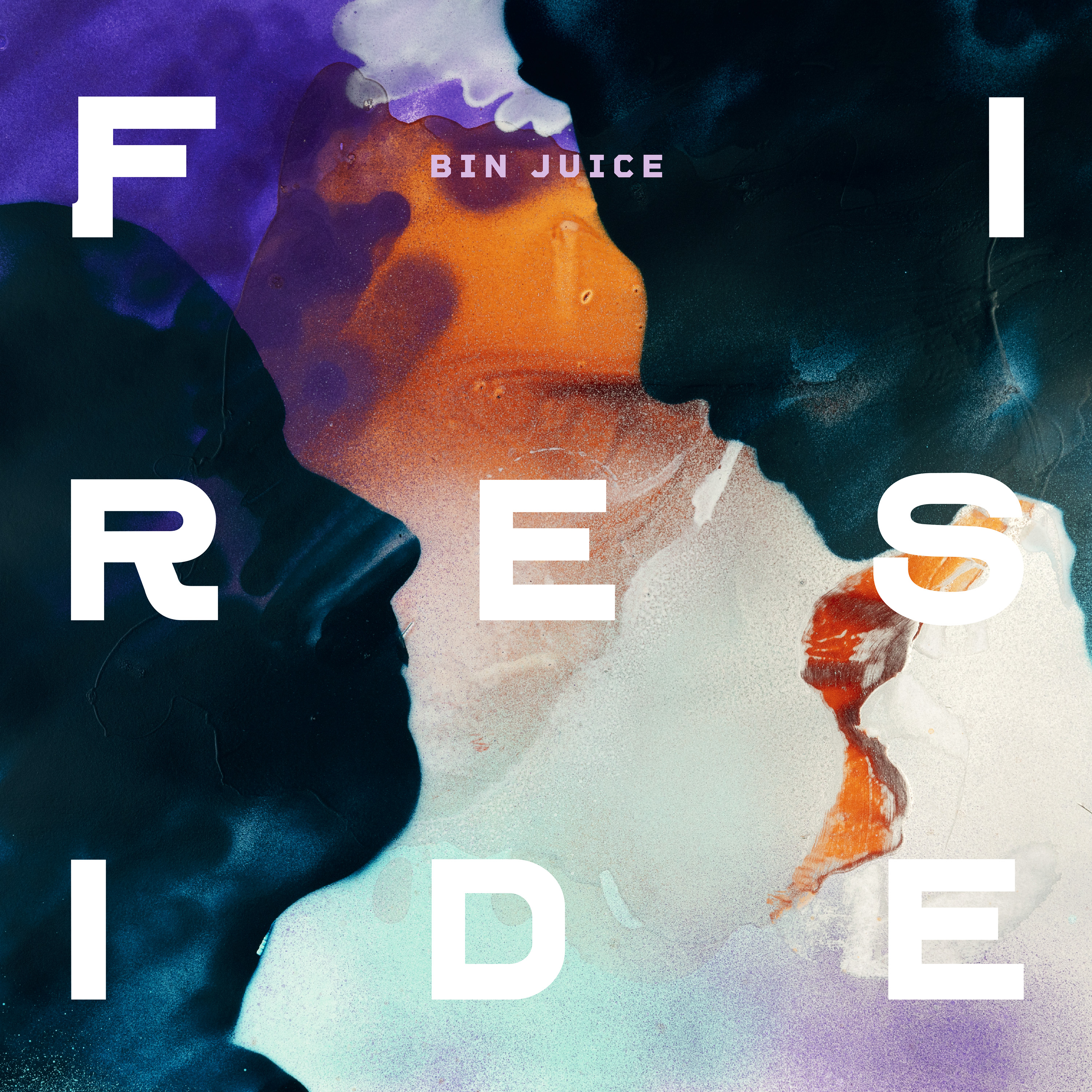 Fireside---Bin-Juice---LP-2