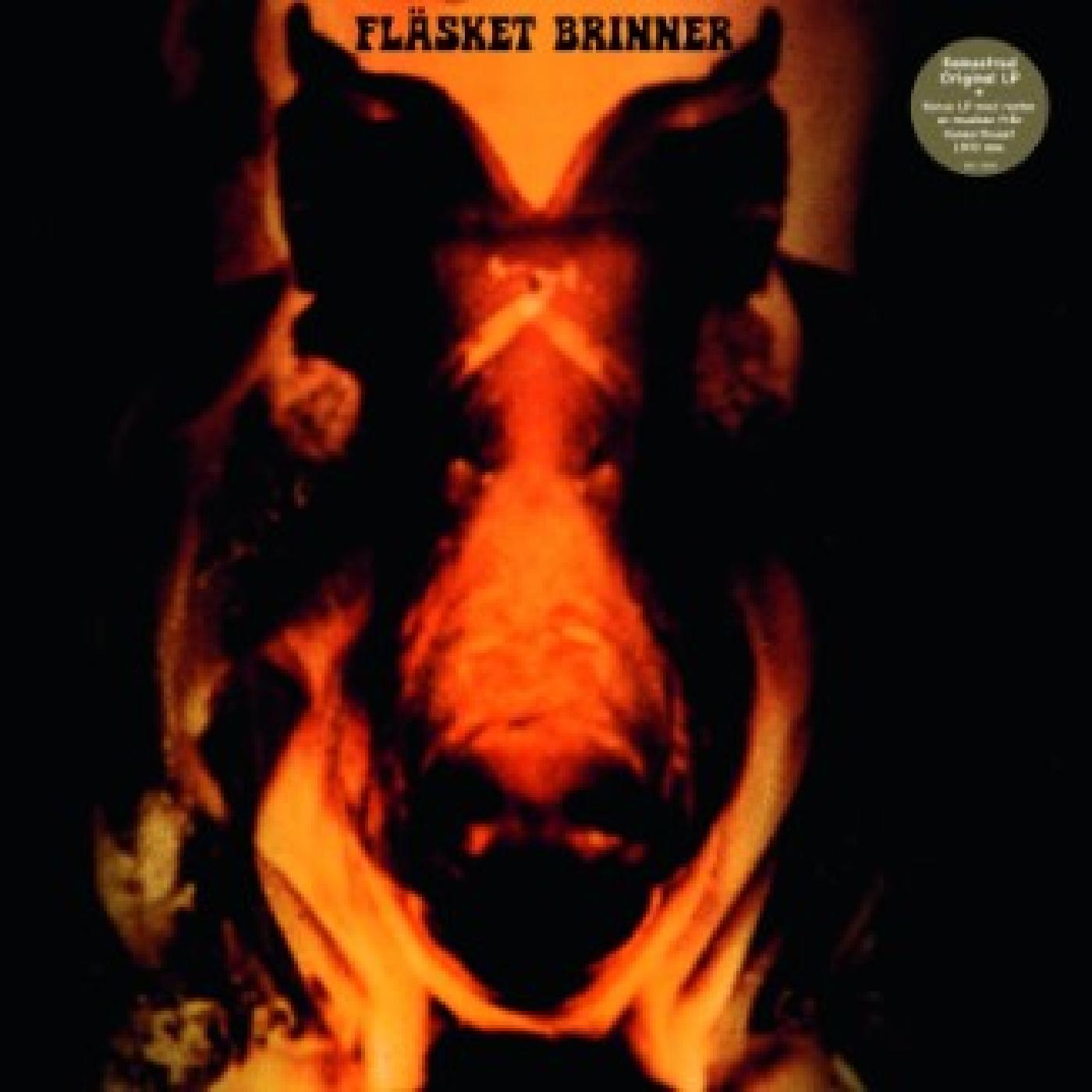 Flasket-Brinner---Flasket-Brinner-2-x-LP-limited