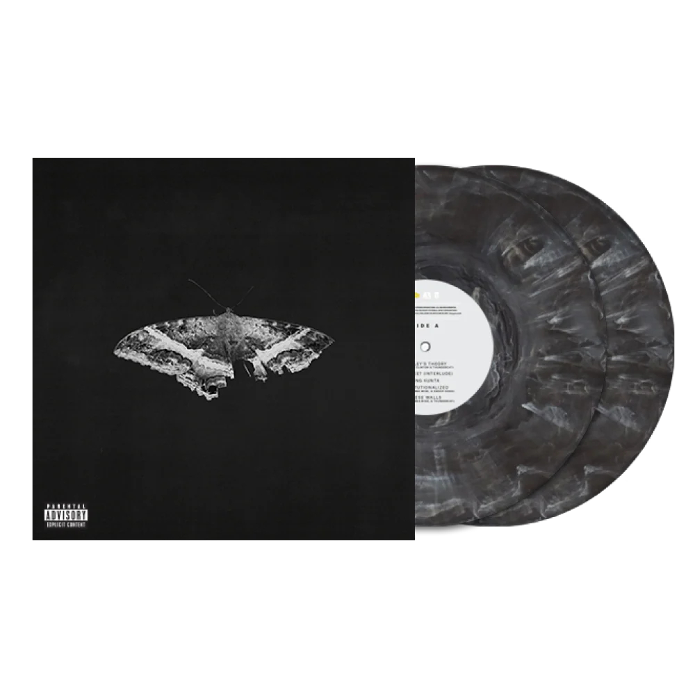 Kendrick-Lamar---To-Pimp-A-Butterfly-vinyl-lp2