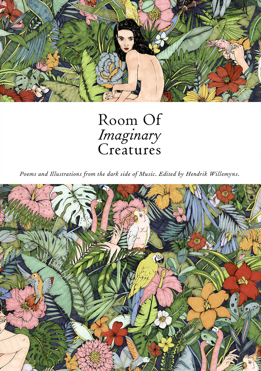 Room of Imaginary Creatures - Book