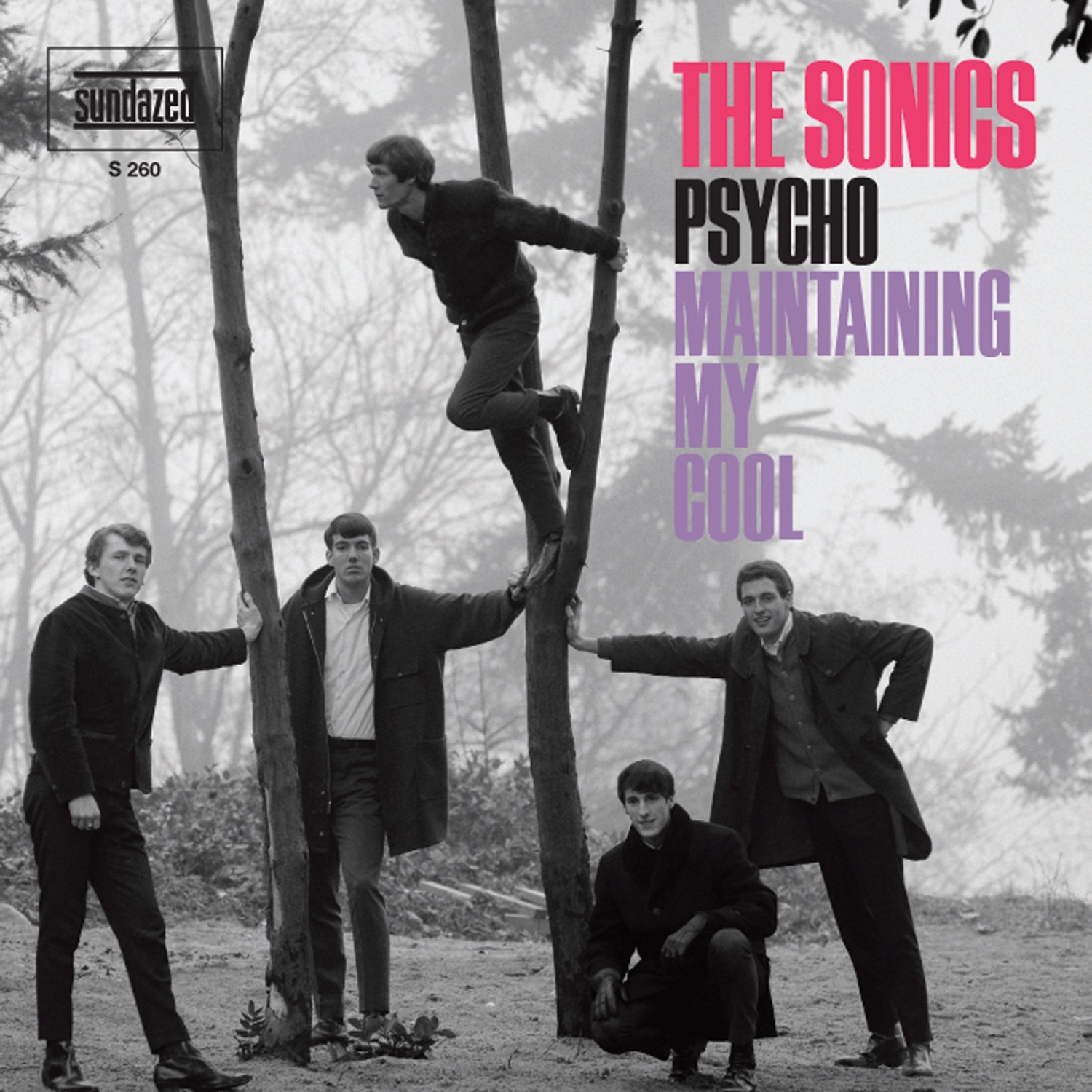 Sonics, The - Psycho/Maintaining My Cool (Yellow Vinyl) - 7´