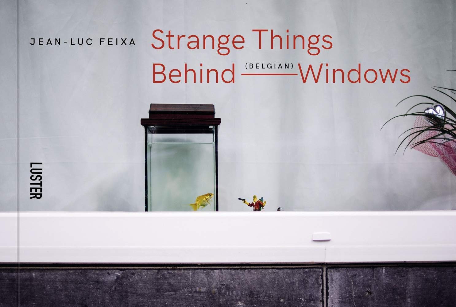 Strange-Things-Behind-Belgian-Windows