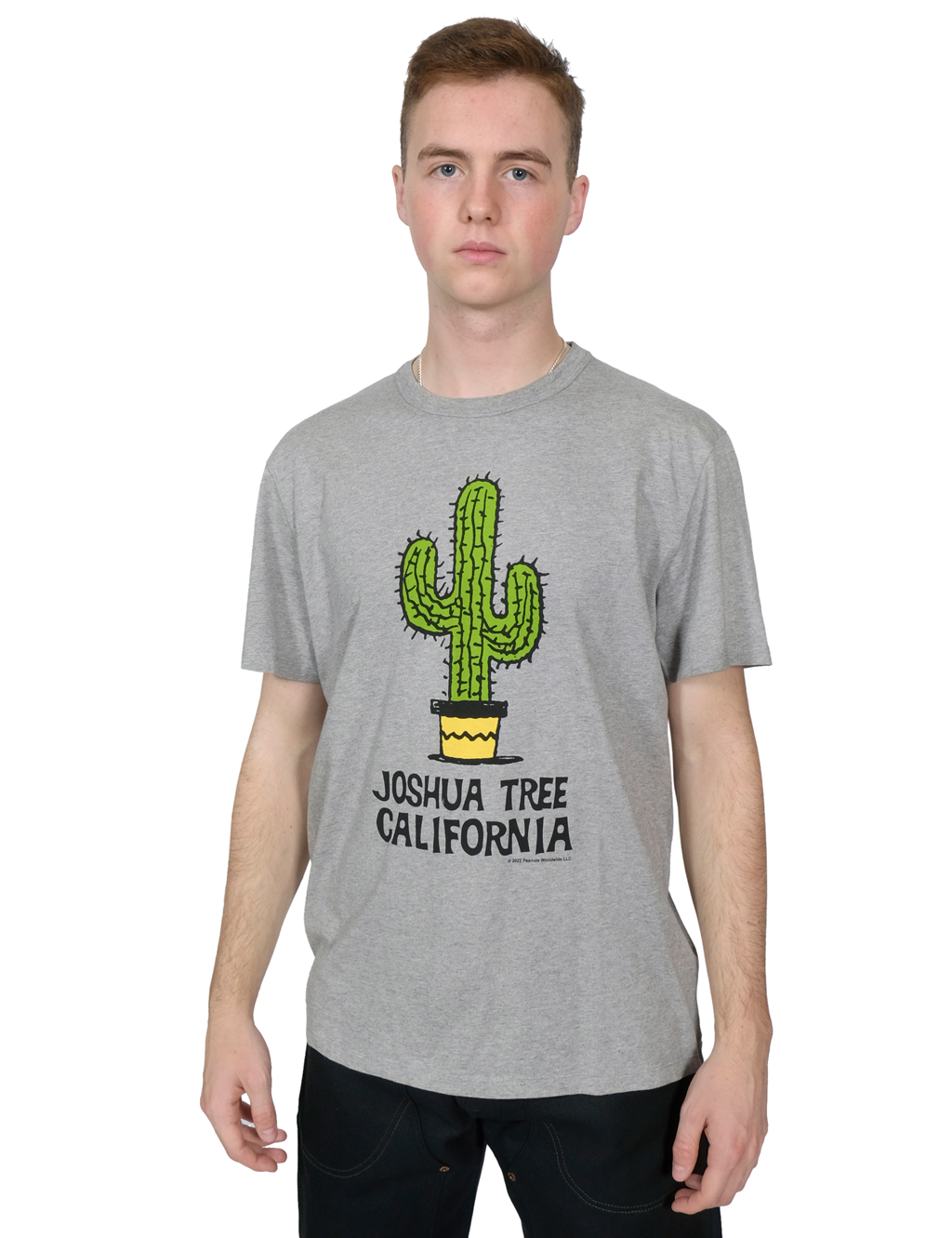 TSPTR---Joshua-Tree-Tee---Grey-Marl1