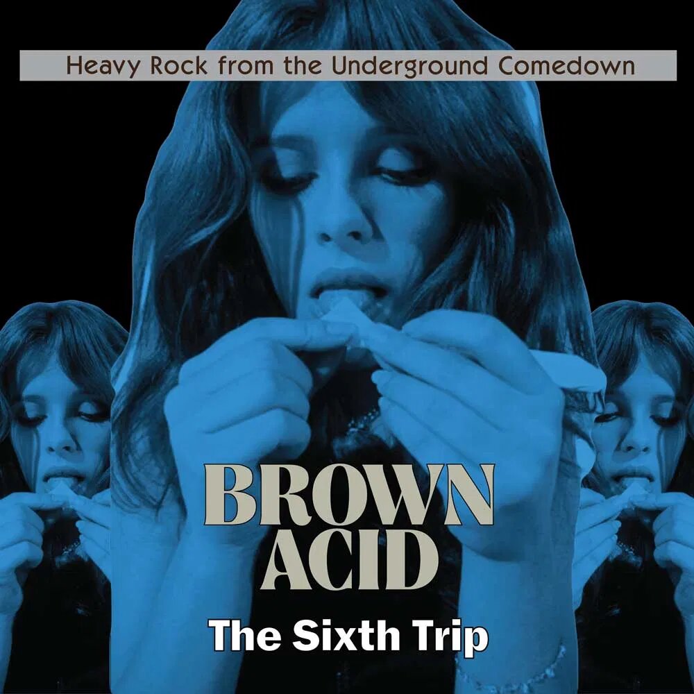 Various - Brown Acid: The Sixth Trip - LP