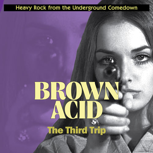 Various---Brown-Acid-The-Third-Trip---LP