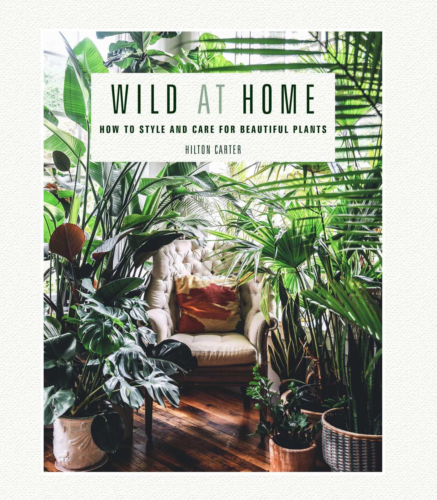 Wild at Home: How To Style And Care For Beautiful Plants