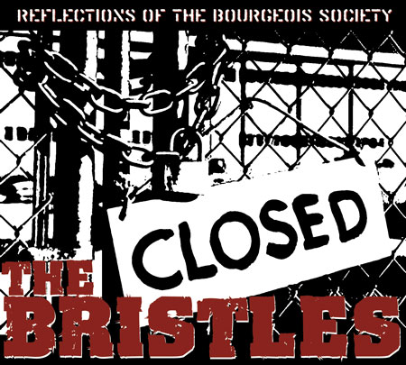 bristles_reflections