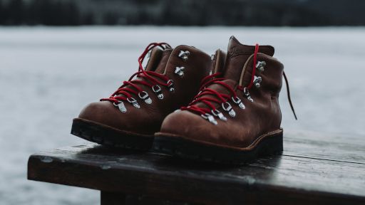 Danner Hiking Boots