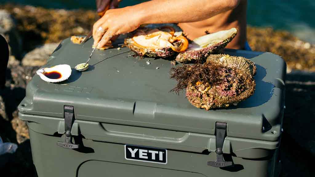 Yeti Camp Green Collection