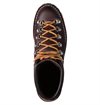 Danner - Mountain Light Gore-Tex (EE) - Brown