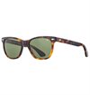American Optical - Saratoga Sunglasses - Tortoise