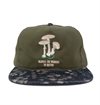 The Ampal Creative - Respect Wonders Strapback Cap - Olive