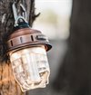 Barebones - Beacon Hanging Lantern Light - Antique Bronze