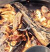 Barebones---Cowboy-Grill-Roasting-Sticks--123456789