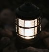 Barebones - Forest Lantern - Antique Bronze