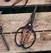 Barebones - Large Garden Scissors - Walnut