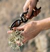 Barebones - Pruner & Sheath