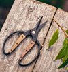 Barebones - Small Garden Scissors - Walnut