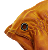 Crud - Molg Full-Grain Cowhide Work Gloves