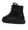 Danner - Danner Light (EE) - Black