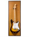 Henry-Guitarframe---Fender-Stratocaster-1