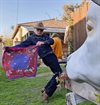 Mister Freedom - Ranch Bandana Kerchief - Royal Blue