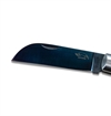 Otter Messer - 173 Anchor Knife Bone