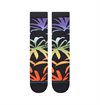 Stance---Palmer-All-Gender-Crew-Sock12