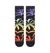 Stance---Palmer-All-Gender-Crew-Sock12