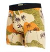 Stance - Palmoflage Boxer Brief - Tan