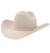Stetson - 5X Lariat Western Cowboy Hat - Silverbelly