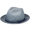 Stetson---Fremont-Player-Panama-Hat---Blue-1