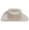 Stetson - Skyline 6x Cowboy Hat - Silverbelly
