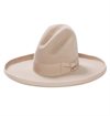 Stetson---Tom-Mix-6-X-Cowboy-Hat---Silverbelly-1