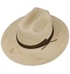 Stetson - Western Toyo - Nature